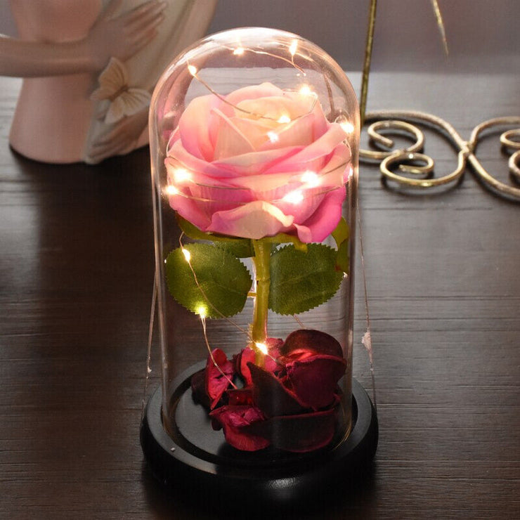 Rose Lumineue Rose